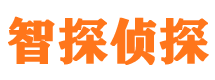 汝阳外遇出轨调查取证